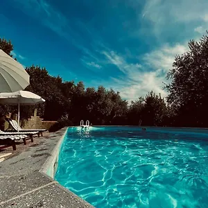 Casa Appartamento Montescudaio